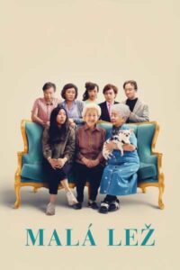 ดูหนังออนไลน์ฟรี The Farewell (2019) กอดสุดท้าย คุณยายที่รัก