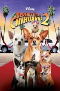 Beverly Hills Chihuahua 2 (2011) คุณหมาไฮโซ โกบ้านนอก ภาค 2